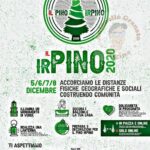 Il pino Irpino a Savignano l’8 Dicembre