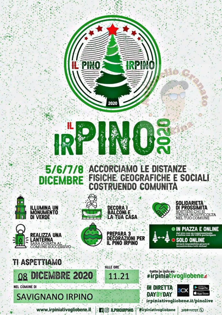Il pino Irpino a Savignano l’8 Dicembre
