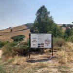 Savignano Irpino: Un’Oasi di Pace da Scoprire con SavApp
